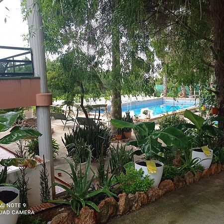 Casa Rural Complex Masia Del Tremendo Y Agroturismo Camarles Екстер'єр фото
