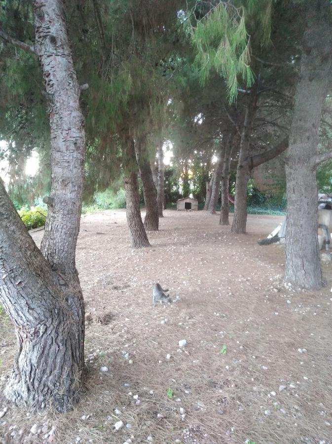 Casa Rural Complex Masia Del Tremendo Y Agroturismo Camarles Екстер'єр фото