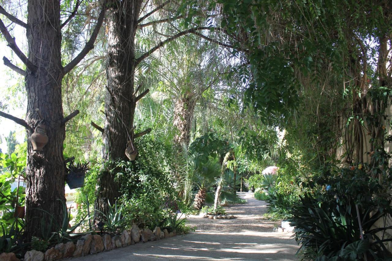 Casa Rural Complex Masia Del Tremendo Y Agroturismo Camarles Екстер'єр фото