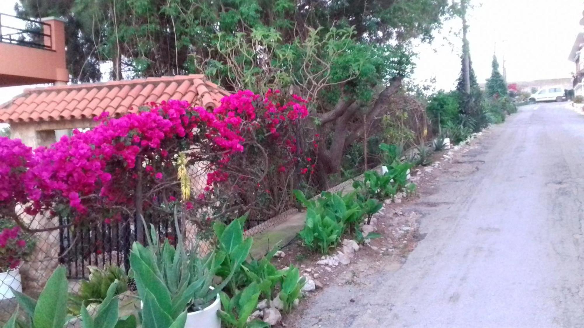Casa Rural Complex Masia Del Tremendo Y Agroturismo Camarles Екстер'єр фото